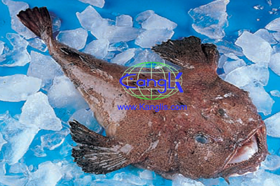 monkfish